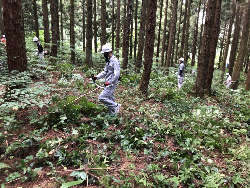 2年に一度の山作業 ファームホリコシ 2年に一度の山作業 ファームホリコシ
